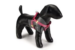 Beeztees Hondentuig Nylon 26-40cm Roze