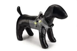 Beeztees Hondentuig Nylon 46-75cm Donkergrijs