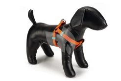 Beeztees Hondentuig Nylon 46-75cm Oranje