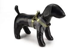 Beeztees Hondentuig Nylon 60-100cm Lichtgroen