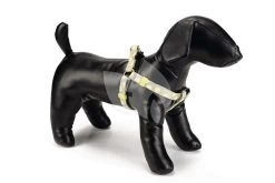 Beeztees Hondentuig Nylon Lemon 60-100cm Lichtgrijs