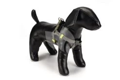 Beeztees Hondentuig Nylon Spira 60-100cm Lichtgroen