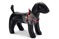 Beeztees Hondentuig Nylon Stars 60-100cm Rood