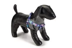 Beeztees Hondentuig Nylon Stripes 35-60cm