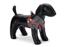 Beeztees Hondentuig Nylon Uni 35-60cm Rood