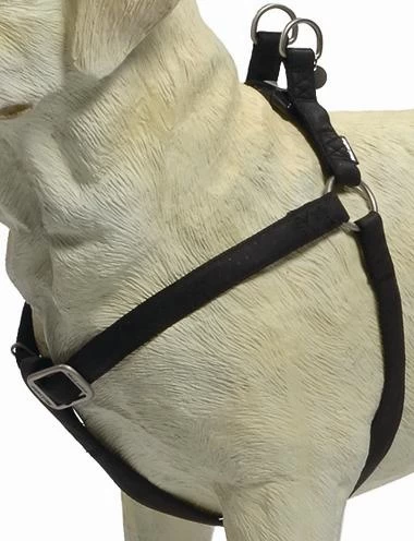 Beeztees Hondentuig Mac Leather 35-60cm Zwart 4 Beeztees Hondentuig Mac Leather 35-60cm Zwart - Afbeelding 2