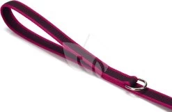 Beeztees Julius-K9 Antislip Hondenriem 180 Cm Roze 7 Beeztees Julius-K9 Antislip Hondenriem 180 Cm Roze -Beeztees julius k9 antislip hondenriem 180 cm roze 5999053662943 2 0 1838x1200