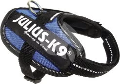 Beeztees Julius-K9 IDC-Powertuig Baby 33-45cm Blauw