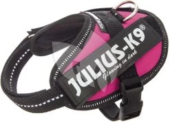 Beeztees Julius-K9 IDC-Powertuig Baby 33-45cm Roze