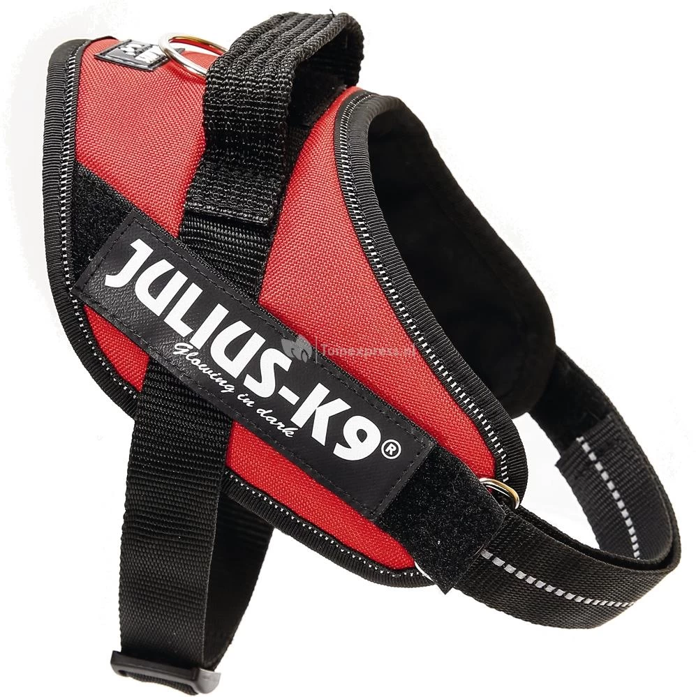 Beeztees Julius-K9 IDC-Powertuig Mini 40-53cm Rood 3 Beeztees Julius-K9 IDC-Powertuig Mini 40-53cm Rood