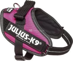 Beeztees Julius-K9 IDC-Powertuig Mini 49-67cm Roze
