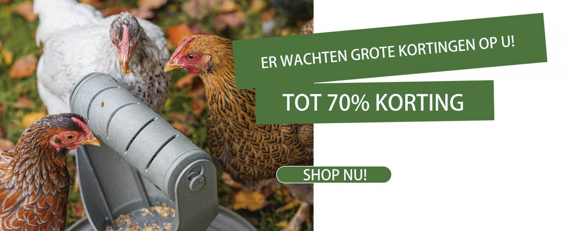 Beeztees -Beeztees GHGHHGJ