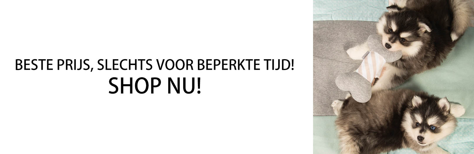 Beeztees -Beeztees GJHJ